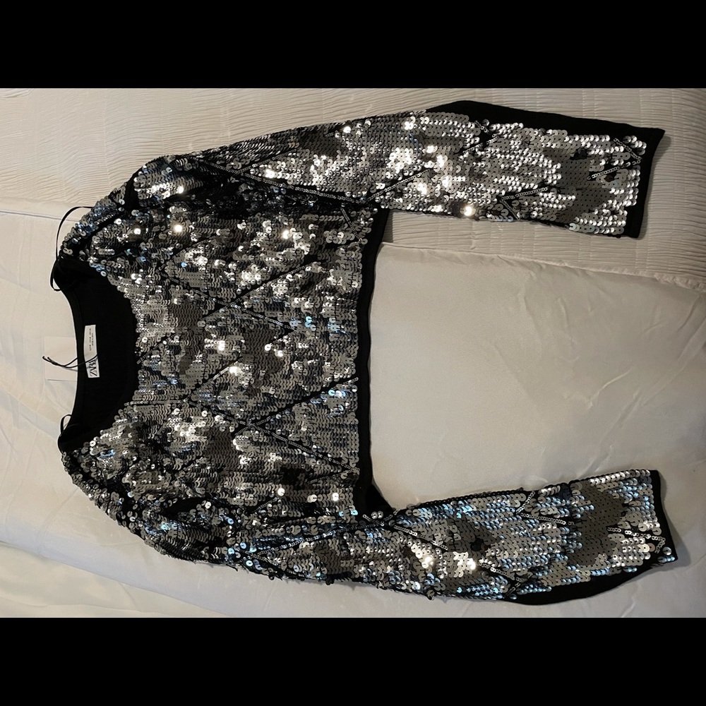 Zara sequin crop top